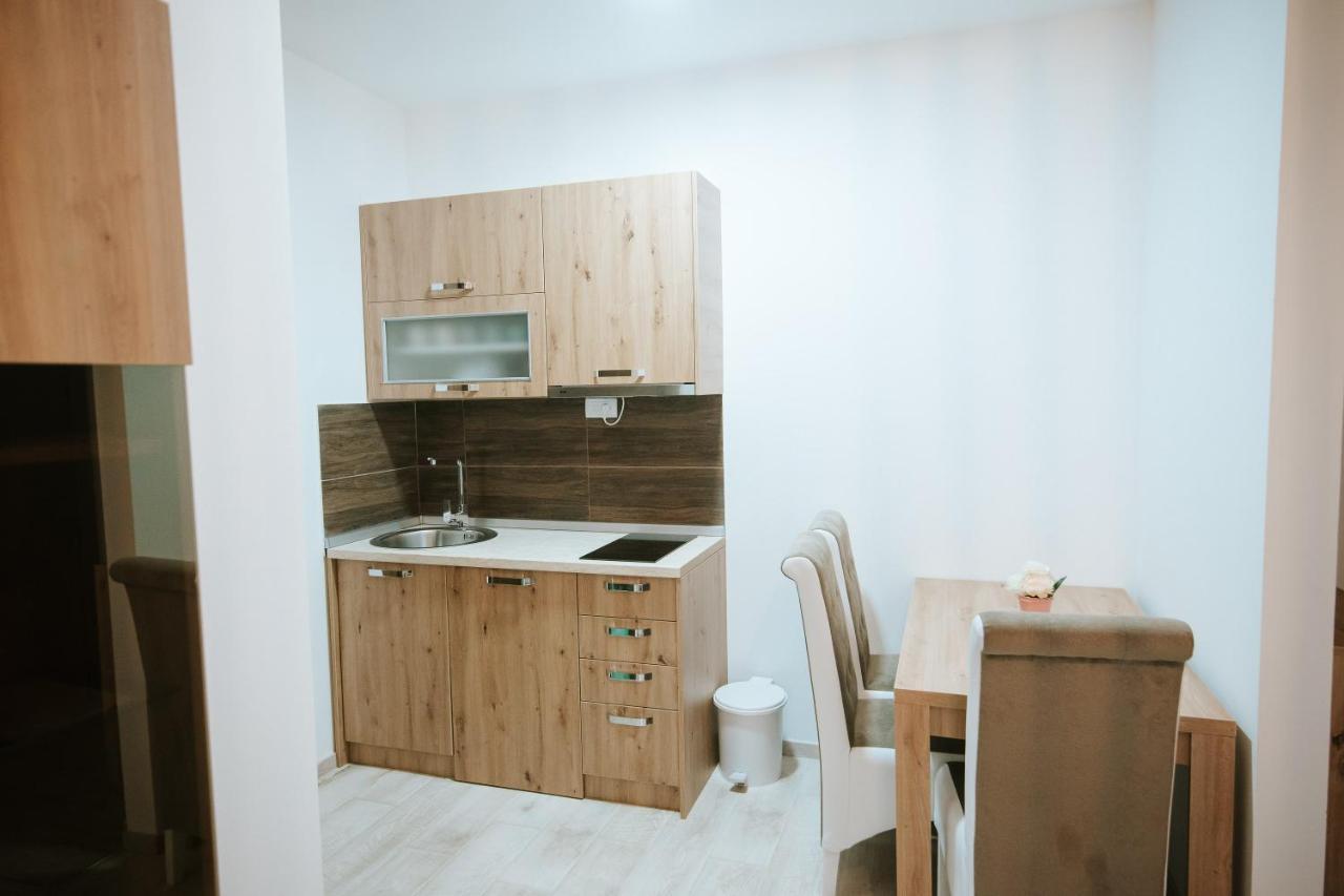 Kraljevi Konaci -Apartmani Bajka コパオニク エクステリア 写真