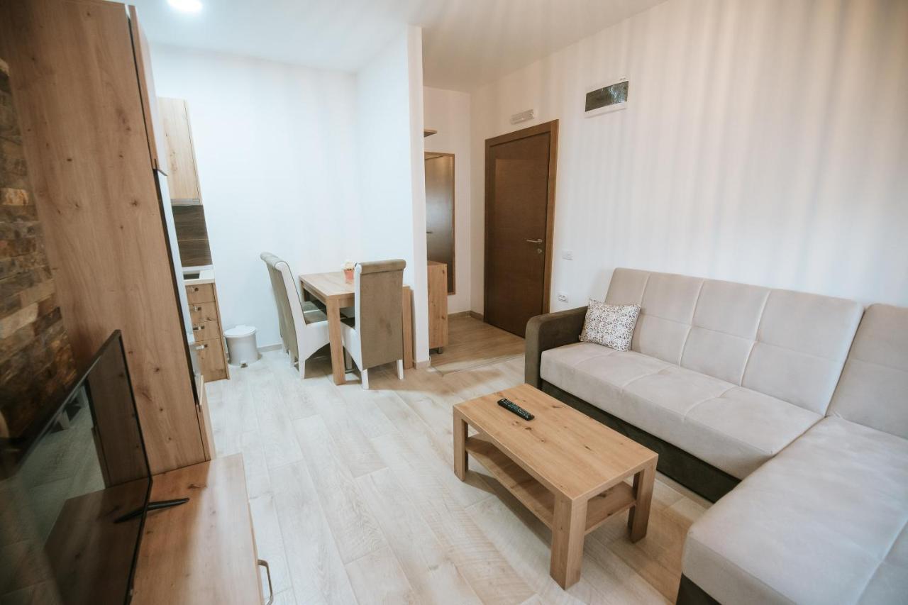 Kraljevi Konaci -Apartmani Bajka コパオニク エクステリア 写真