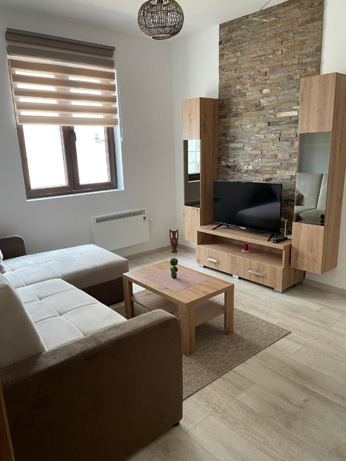 Kraljevi Konaci -Apartmani Bajka コパオニク エクステリア 写真