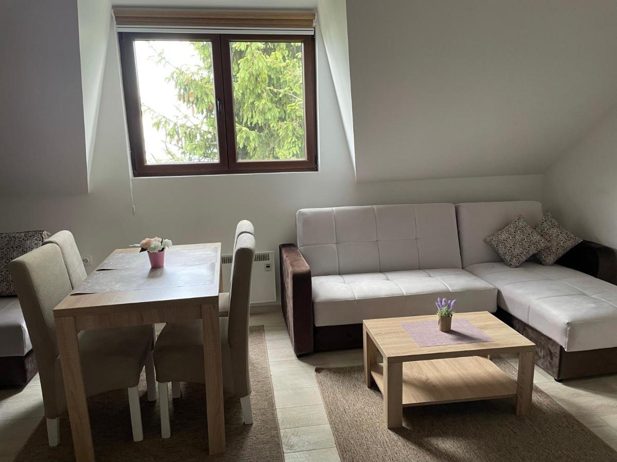 Kraljevi Konaci -Apartmani Bajka コパオニク エクステリア 写真