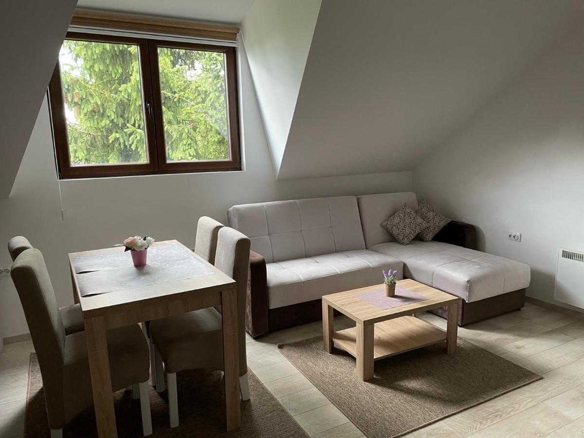 Kraljevi Konaci -Apartmani Bajka コパオニク エクステリア 写真