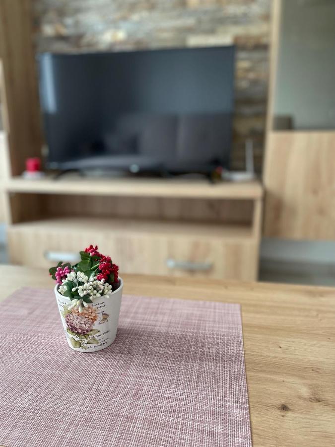 Kraljevi Konaci -Apartmani Bajka コパオニク エクステリア 写真