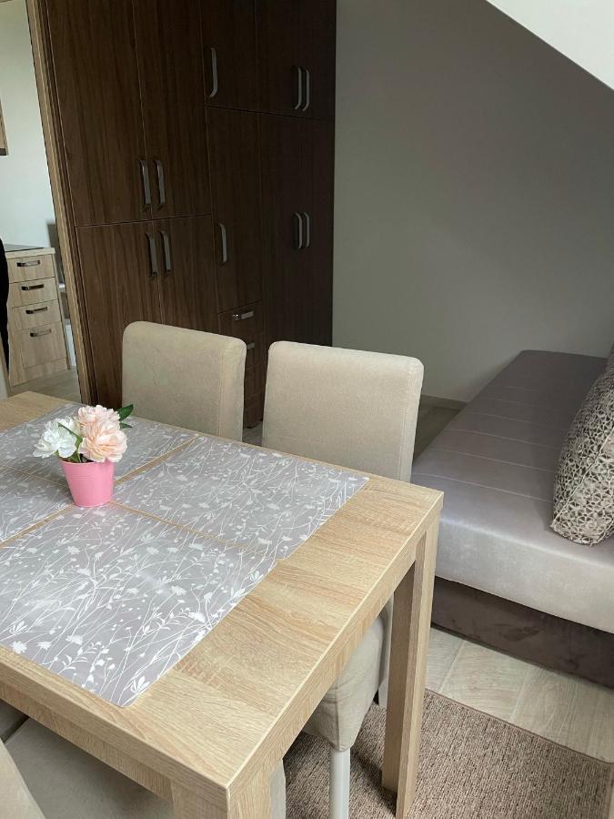 Kraljevi Konaci -Apartmani Bajka コパオニク エクステリア 写真