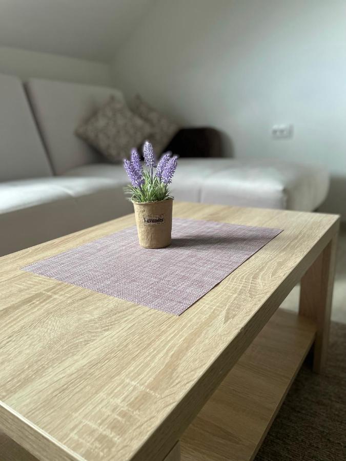Kraljevi Konaci -Apartmani Bajka コパオニク エクステリア 写真
