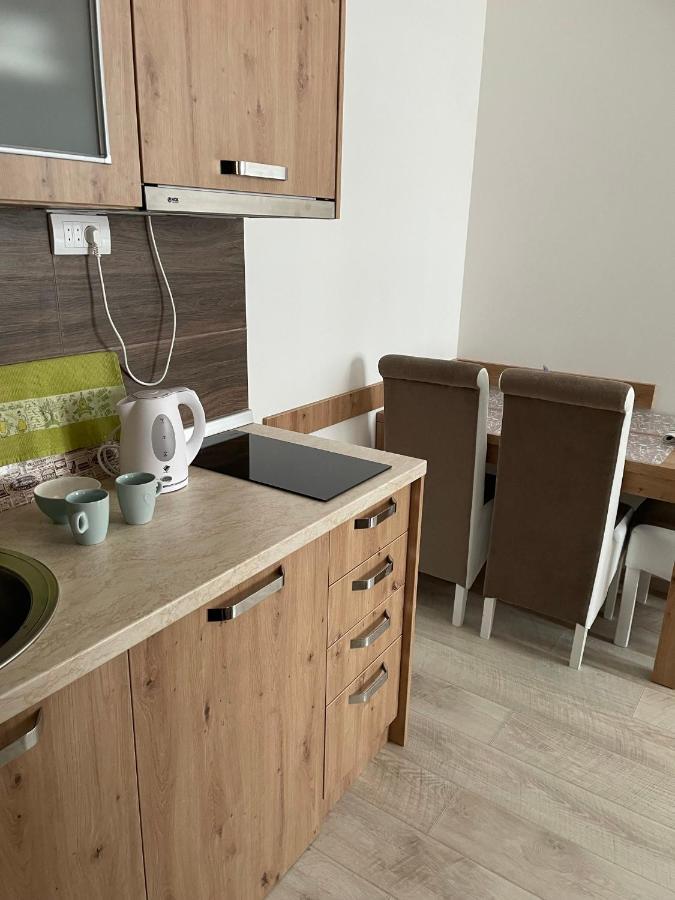 Kraljevi Konaci -Apartmani Bajka コパオニク エクステリア 写真